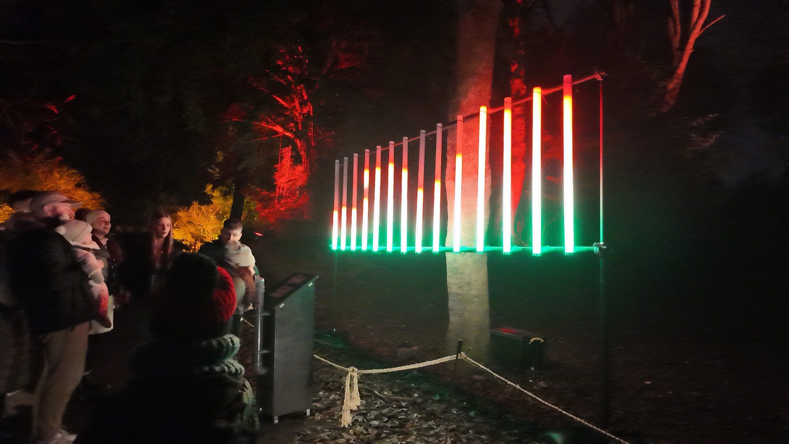 Interactive Voice Waves